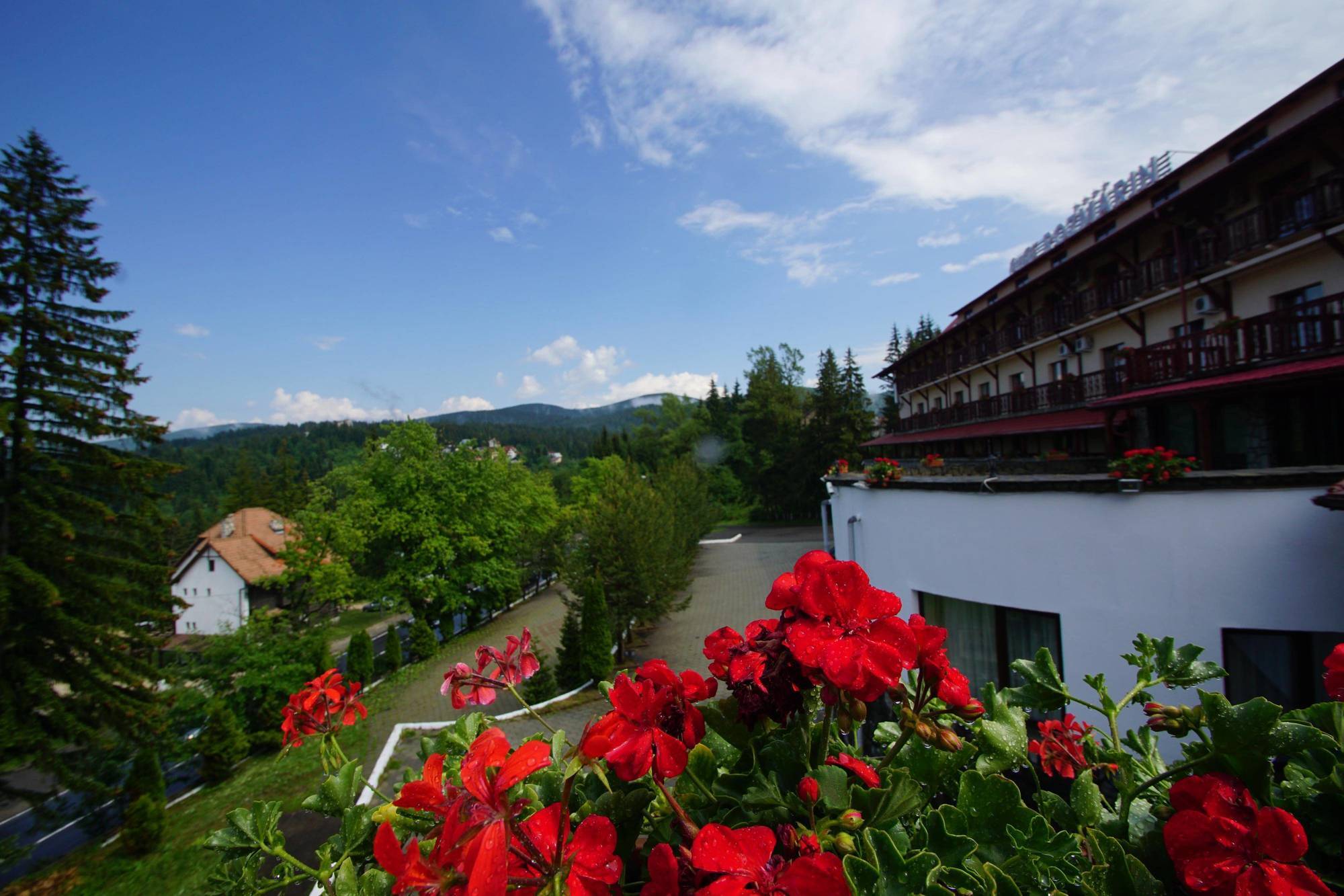 Hotel Rozmarin Predeal Exterior foto